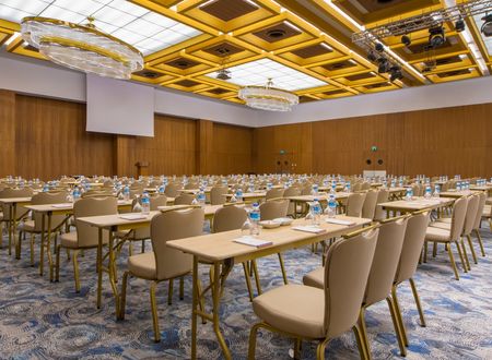 turkey/kayseri/crowneplazakayseridf022d22.jpg