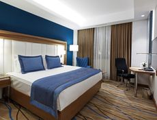 Deluxe French Room