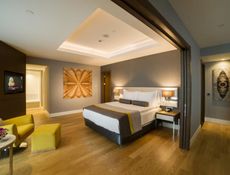 Suite Tek Yatak Odalı - Şehir Manzaralı