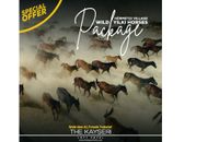 Deluxe Room - Wild Horses Package