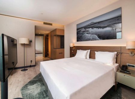 turkey/kayseri/radissonbluhotelmounterciyes5ffd7212.jpg