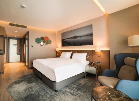turkey/kayseri/radissonbluhotelmounterciyes7f089c5e.jpg