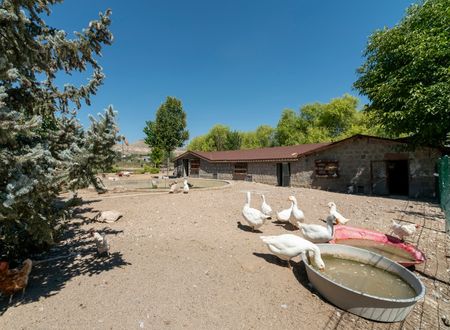 turkey/kayseri/sunolusvineyardhotel2b42798d.jpg