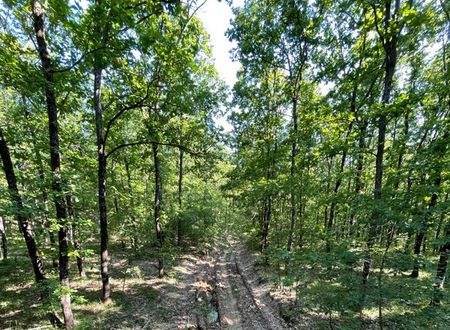 turkey/kirklareli/demirkoy/longosphereglamping40d4c50b.jpg