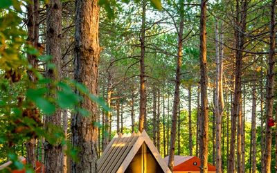 Longosphere Glamping · 3