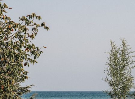 turkey/kirklareli/demirkoy/nayuigneadae03ab39f.jpg