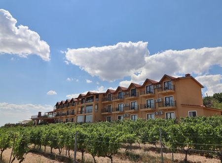 turkey/kirklareli/desseravineyardshotelf88cf41d.jpg