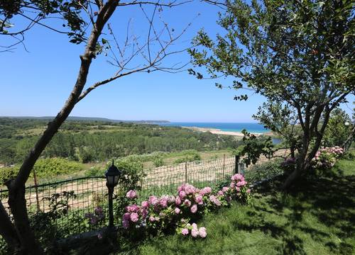 turkey/kirklareli/vize/kiyikoyresorthotelb65fe2a7.jpg
