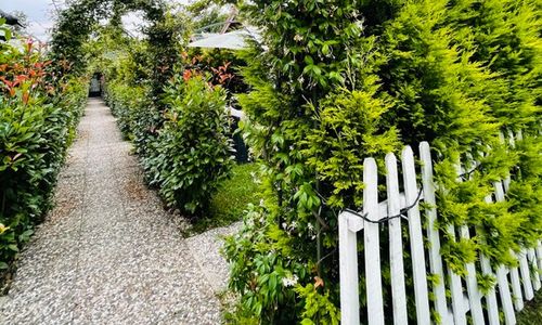 turkey/kocaeli/adesaboutiquebungalowhotel87416a30.jpg