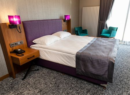 turkey/kocaeli/businesspalashotel5c69351b.jpg