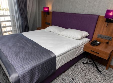 turkey/kocaeli/businesspalashotel99e65331.jpg
