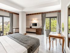 Standart Oda Doğa Manzaralı
