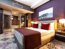 Terrace Suite