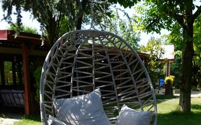 Alex Village Life · 2