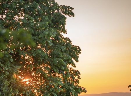 turkey/kocaeli/kartepe/alyakartepevillahotel043087dd.jpg
