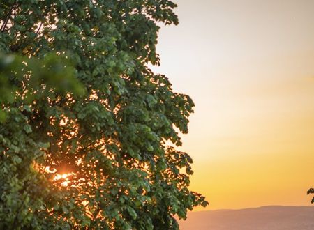 turkey/kocaeli/kartepe/alyakartepevillahotel9274c3b9.jpg