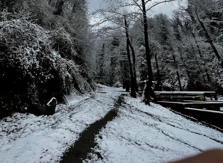 turkey/kocaeli/kartepe/bogazicibutikotelmasukiyeb2286503.jpg