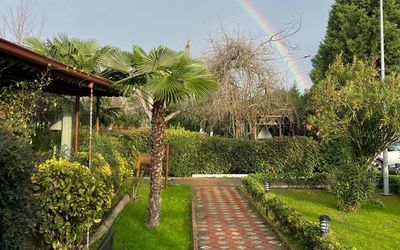 Cevizdibi Otel&Loft Villa · 3