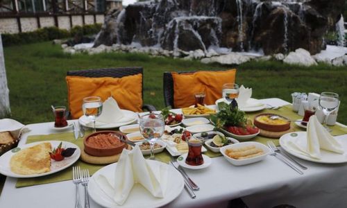 turkey/kocaeli/kartepe/cevizdibihotelca506064.jpg