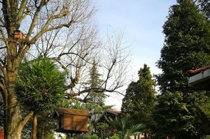 turkey/kocaeli/kartepe/yenerbungalova987d227.jpg