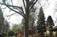 turkey/kocaeli/kartepe/yenerbungalovd9283de0.jpg