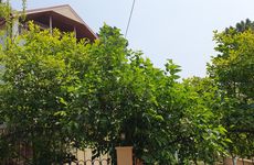turkey/kocaeli/kerpehuzurvilla0d4d8a6b.jpg