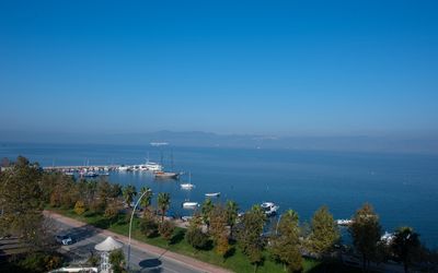 Wellborn Luxury Hotel · 3