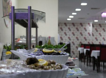 turkey/kutahya/nehirtermalotelacb0775f.jpg