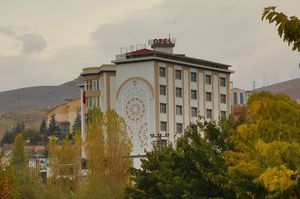 turkey/malatya/tiryandafilotel7d10ee50.jpg