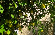 turkey/merkez/selçuk/izmir/hotelkalehand36cb7e4.jpg