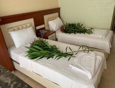 Habitación Estándar - Twin