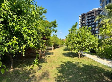 turkey/mersin/erdemli/mersinpanoramaotel47b4eac9.jpg