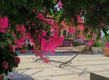 turkey/mugla/akdenizotel6dbd4ab1.jpg