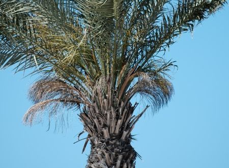 turkey/mugla/arinresortbodrume09fb6b6.jpg