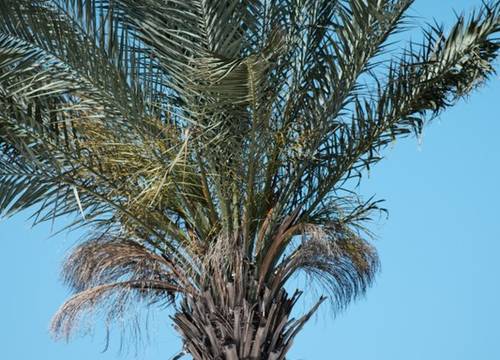 turkey/mugla/arinresortbodrume09fb6b6.jpg
