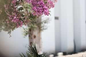 turkey/mugla/arinresortbodrume6b7d634.jpg