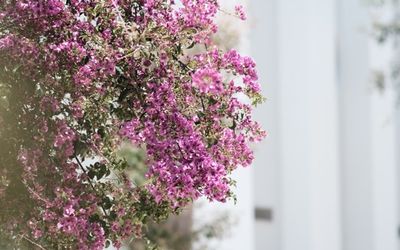 Arin Resort Bodrum · 3