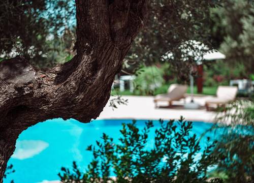 turkey/mugla/bodrum/amoreboutiquehotel10e8f652.jpg