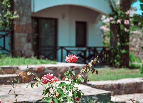 turkey/mugla/bodrum/amoreboutiquehotel39762862.jpg