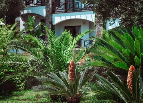 turkey/mugla/bodrum/amoreboutiquehotel79101ea4.jpg
