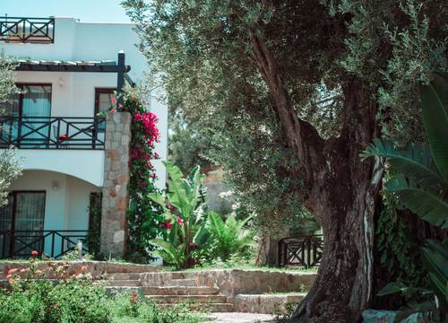 turkey/mugla/bodrum/amoreboutiquehoteld52f1b37.jpg