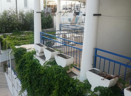 turkey/mugla/bodrum/artisahinapartotel1be2d9f0.jpg
