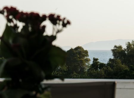 turkey/mugla/bodrum/benjaminotel5bf2cb50.jpg