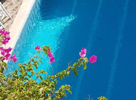 turkey/mugla/bodrum/bitezhakanbutikotelb1b54e36.jpg