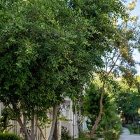 Bodrum Beach Resort