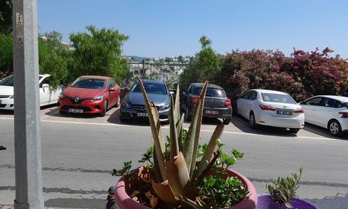 turkey/mugla/bodrum/bodrummotel6b4cc101.jpg