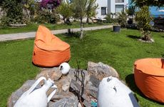 turkey/mugla/bodrum/casacariaboutiquehotel6cf0cd36.jpg