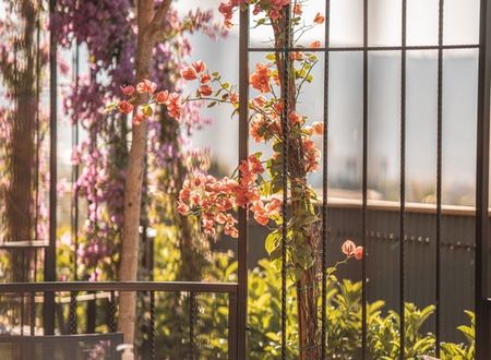 turkey/mugla/bodrum/doorabodrumhotelafe7ce62.jpg