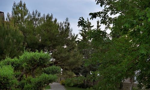 turkey/mugla/bodrum/dormansuiteshotelc3c55aa2.jpg