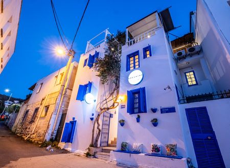 turkey/mugla/bodrum/dreaminnbutikotel11344838.jpg